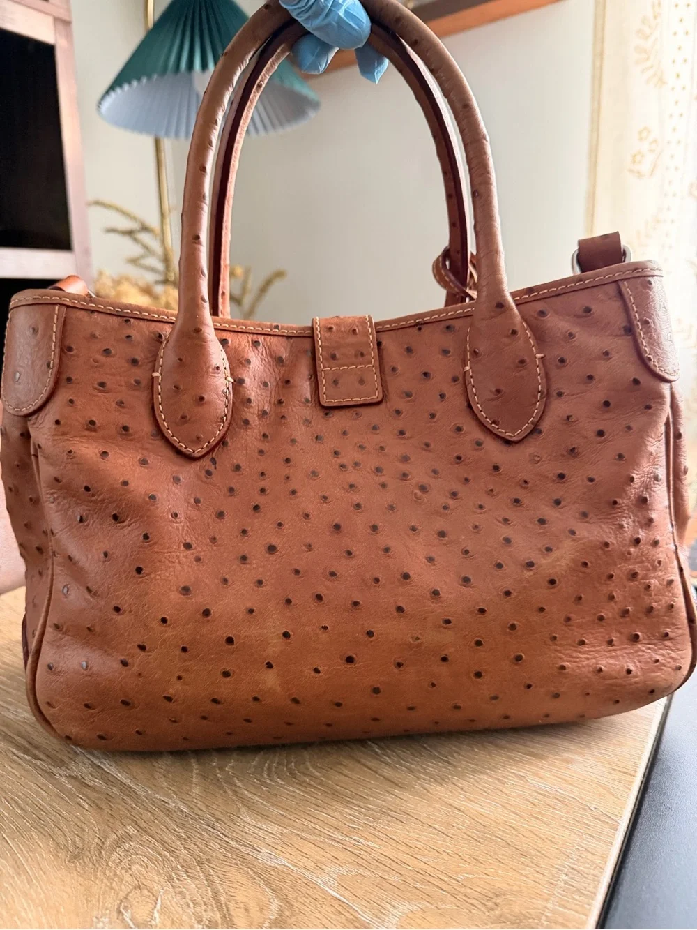 Dooney & Bourke dooney bourke